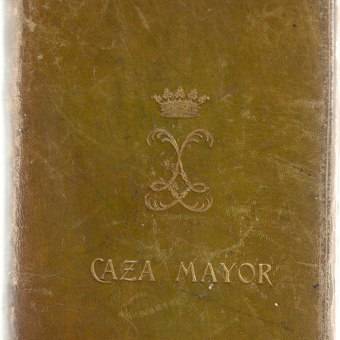 PABELLÓN CAZA 11